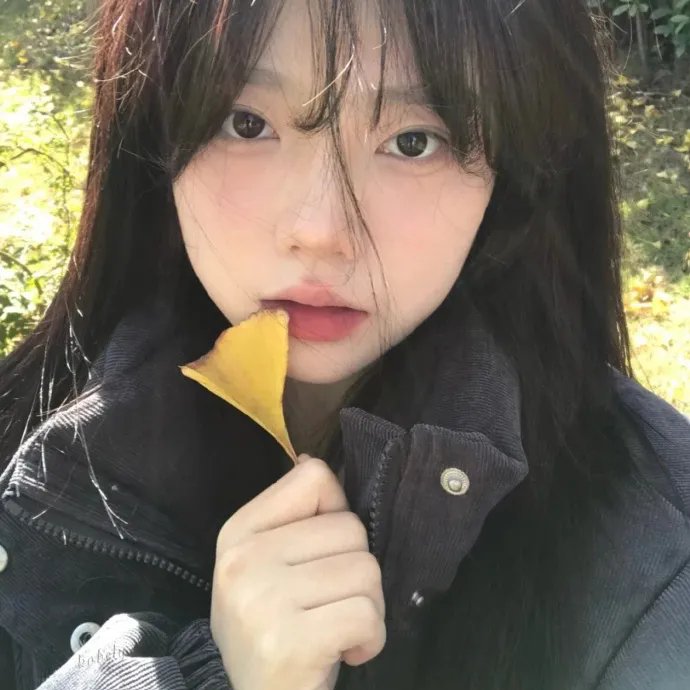 双面骗子虚假警察第一季